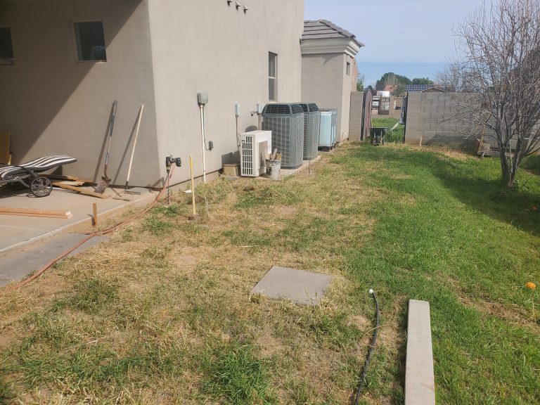 Backyard of a house, grass pathway leading to gate.