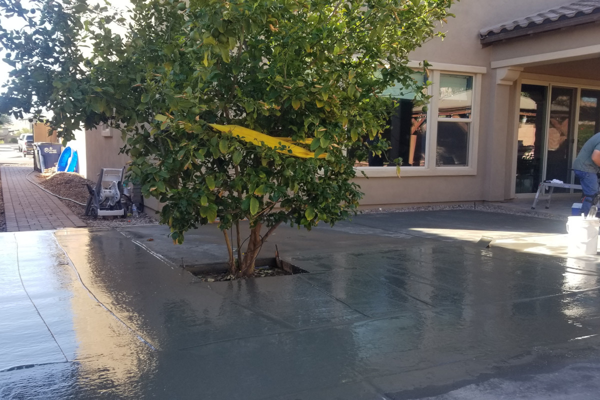 Fresh concrete patio section poured around the tree planter area.
