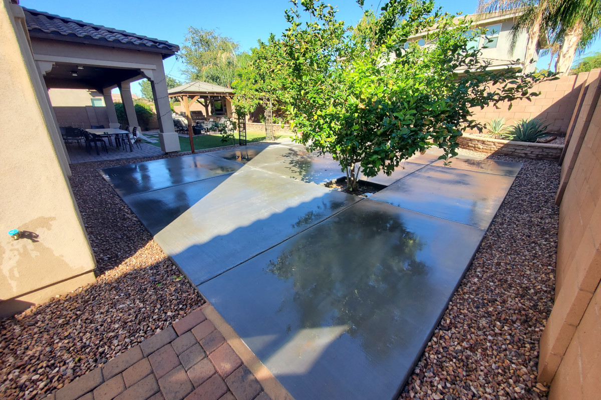 Finished backyard concrete patio wrapped around a tree planter and tied into an existing paver walkway.